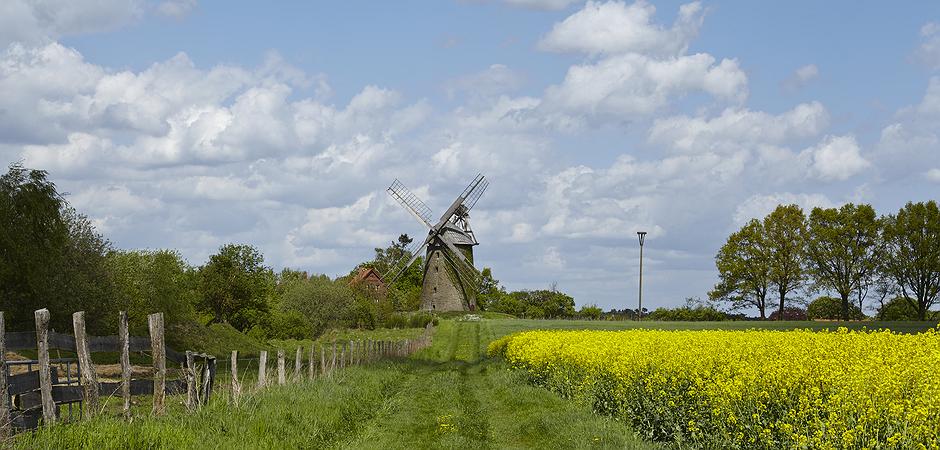 Artikelbild